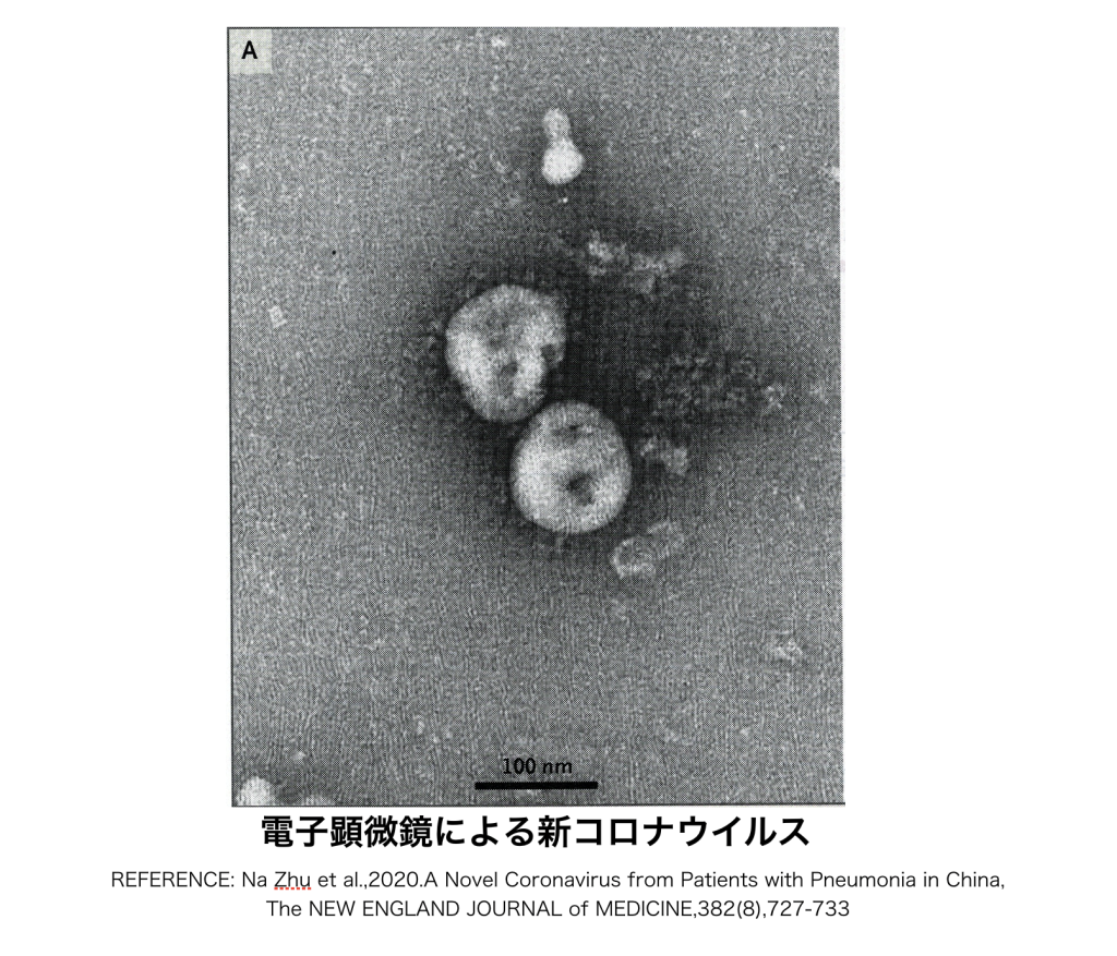 緊急ブログ_新型コロナウイルス＿200228